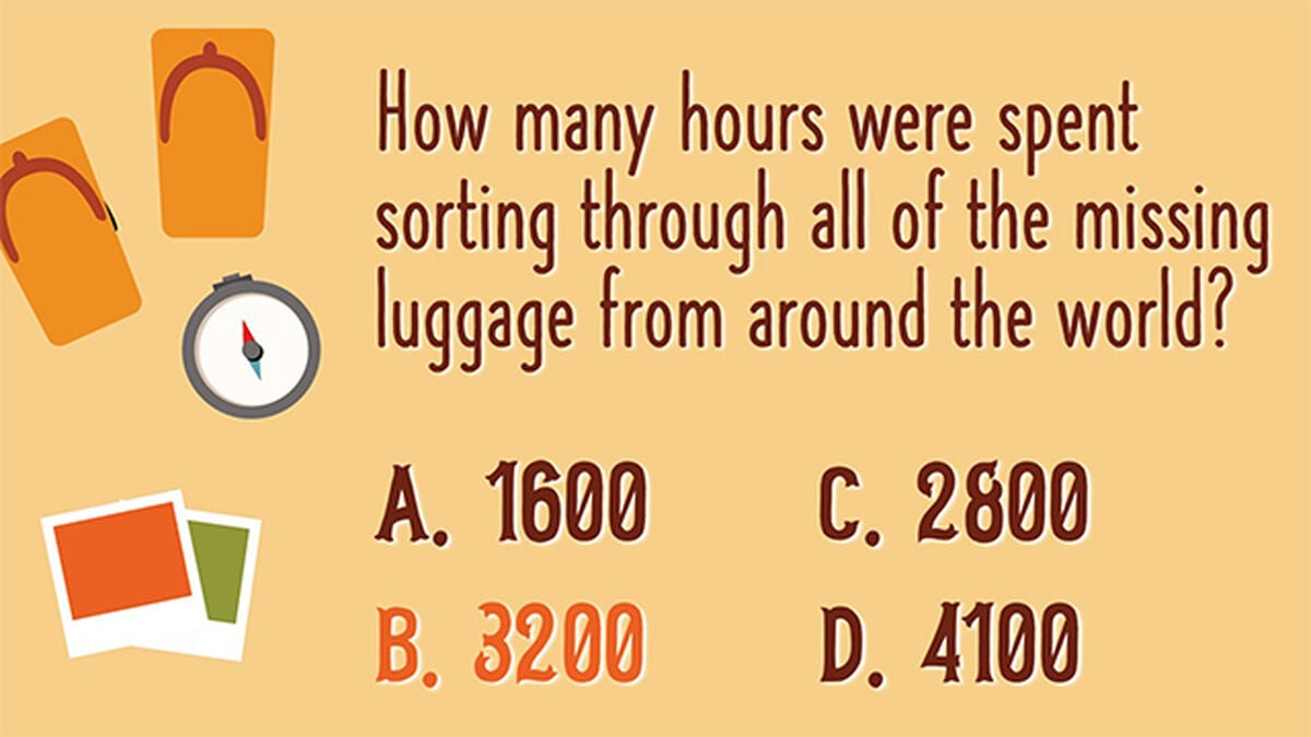 Lost Luggage image number null